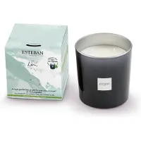 Esteban Classic Pur Lin Geurkaars 450gr