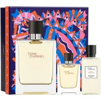 Hermès Paris Terre d'Giftset - 100 ml eau de toilette spray + 12,5 ml eau de toilette spray + 40 ml aftershave balm - cadeauset voor heren