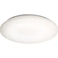 Sapho Orbis ronde plafondlamp 30cm 15.5W