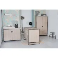 Cabino Babybedje Dakota