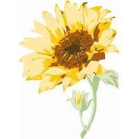 SIZZIX Layered clear stamps sunflower stem -