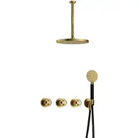 Hotbath Cobber @Work IBSW70 inbouw regendoucheset met ronde handdouche aan houder en 30cm ronde hoofddouche aan 30cm plafondarm geborsteld messing PVD