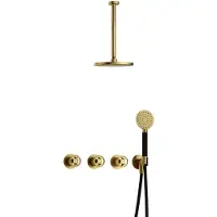Hotbath Cobber @Work IBSW70 inbouw regendoucheset met ronde handdouche aan houder en 20cm ronde hoofddouche aan 30cm plafondarm geborsteld messing PVD