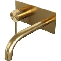 Brauer Inbouw wastafelmengkraan gold edition coldstart gebogen uitloop ronde hendel links geborsteld goud pvd met afdekplaat