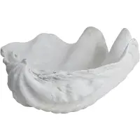 Mette Ditmer Shell decoratie Small