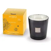 Esteban Classic Ambre Geurkaars 450gr
