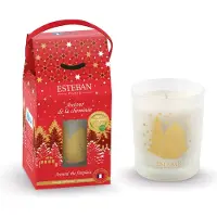 Esteban kerst Around the Fireplace geurkaars 180gr