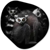 MuchoWow Organische wanddecoratie 90x90 cm - Organisch schilderij Dieren - Maki - Zwart - Wit - Portret - Muurdecoratie woonkamer - Kamer decoratie - Schilderijen - Muurcirkel aesthetic