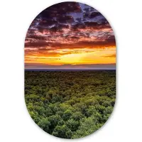 MuchoWow Muurovaal 80x120 cm - Ovale wanddecoratie Bos - Nacht - Lucht - Horizon - Bomen - Ovalen schilderij - Muurdecoratie woonkamer - Kamer decoratie - Schilderijen - Wandcirkel