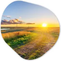 MuchoWow Organische wanddecoratie 40x40 cm - Organisch schilderij Zon - Natuur - Landschap - Muurdecoratie woonkamer - Kamer decoratie - Schilderijen - Muurcirkel aesthetic