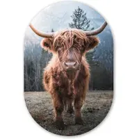 MuchoWow Muurovaal 40x60 cm - Ovale wanddecoratie Schotse hooglander - Koe - Dieren - Berg - Natuur - Ovalen schilderij - Muurdecoratie woonkamer - Kamer decoratie - Schilderijen - Wandcirkel