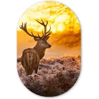 MuchoWow Muurovaal 40x60 cm - Ovale wanddecoratie Hert - Dieren - Zonsondergang - Winter - Heide - Natuur - Ovalen schilderij - Muurdecoratie woonkamer - Kamer decoratie - Schilderijen - Wandcirkel