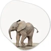 MuchoWow Organische wanddecoratie 90x90 cm - Organisch schilderij Baby olifant - Dieren - Olifant - Kinderen - Meiden - Jongens - Muurdecoratie woonkamer - Kamer decoratie - Schilderijen - Muurcirkel aesthetic