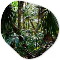 MuchoWow Organische wanddecoratie 40x40 cm - Organisch schilderij Planten in regenwoud - Muurdecoratie woonkamer - Kamer decoratie - Schilderijen - Muurcirkel aesthetic