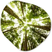 MuchoWow Organische Wanddecoratie - Kunststof Muurdecoratie- Organisch Schilderij - Hoge groene bomen in jungle- 90x90 cm - Organische spiegel vorm op kunststof