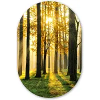 MuchoWow Muurovaal 60x90 cm - Ovale wanddecoratie Bos - Zon - Bomen - Gras - Landschap - Natuur - Ovalen schilderij - Muurdecoratie woonkamer - Kamer decoratie - Schilderijen - Wandcirkel