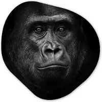 MuchoWow Organische wanddecoratie 40x40 cm - Organisch schilderij Gorilla - Zwart - Wit - Dieren - Portret - Muurdecoratie woonkamer - Kamer decoratie - Schilderijen - Muurcirkel aesthetic