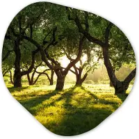 MuchoWow Organische wanddecoratie 90x90 cm - Organisch schilderij Bomen - Natuur - Zon - Muurdecoratie woonkamer - Kamer decoratie - Schilderijen - Muurcirkel aesthetic