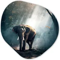MuchoWow Organische wanddecoratie 60x60 cm - Organisch schilderij Olifant - Dieren - Licht - Bos - Natuur - Wilde dieren - Muurdecoratie woonkamer - Kamer decoratie - Schilderijen - Muurcirkel aesthetic