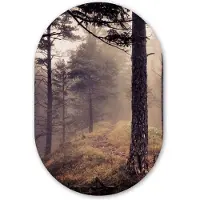 MuchoWow Muurovaal 80x120 cm - Ovale wanddecoratie Mist - Herfst decoratie - Natuur - Bos - Ovalen schilderij - Muurdecoratie woonkamer - Kamer decoratie - Schilderijen - Wandcirkel