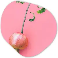 MuchoWow Organische wanddecoratie 60x60 cm - Organisch schilderij Planten - Zomer - Roze - Muurdecoratie woonkamer - Kamer decoratie - Schilderijen - Muurcirkel aesthetic