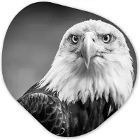 MuchoWow Organische wanddecoratie 60x60 cm - Organisch schilderij Arend - Roofvogel - Zwart - Wit - Dieren - Muurdecoratie woonkamer - Kamer decoratie - Schilderijen - Muurcirkel aesthetic