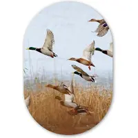 MuchoWow Muurovaal 60x90 cm - Ovale wanddecoratie Eend - Vogel - Riet - Water - Eenden - Ovalen schilderij - Muurdecoratie woonkamer - Kamer decoratie - Schilderijen - Wandcirkel
