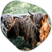 MuchoWow Organische wanddecoratie 40x40 cm - Organisch schilderij Schotse Hooglanders - Bos - Dieren - Muurdecoratie woonkamer - Kamer decoratie - Schilderijen - Muurcirkel aesthetic