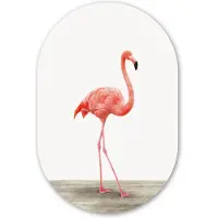 MuchoWow Muurovaal 40x60 cm - Ovale wanddecoratie Flamingo - Roze - Vogel - Meisjes - Jongens - Kind - Ovalen schilderij - Muurdecoratie woonkamer - Kamer decoratie - Schilderijen - Wandcirkel