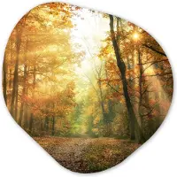 MuchoWow Organische wanddecoratie 90x90 cm - Organisch schilderij Bos - Herfst - Zon - Landschap - Natuur - Bomen - Bladeren - Muurdecoratie woonkamer - Kamer decoratie - Schilderijen - Muurcirkel aesthetic