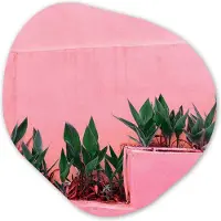 MuchoWow Organische wanddecoratie 90x90 cm - Organisch schilderij Planten - Zomer - Verf - Muurdecoratie woonkamer - Kamer decoratie - Schilderijen - Muurcirkel aesthetic