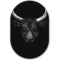 MuchoWow Muurovaal 80x120 cm - Ovale wanddecoratie Dieren - Stier - Zwart - Wit - Portret - Ovalen schilderij - Muurdecoratie woonkamer - Kamer decoratie - Schilderijen - Wandcirkel