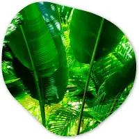 MuchoWow Organische Wanddecoratie - Kunststof Muurdecoratie- Organisch Schilderij - Tropische bladeren in jungle fotoprint- 90x90 cm - Organische spiegel vorm op kunststof