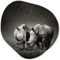 MuchoWow Organische vorm - Organische vormen - Kunststof - Dieren - Vogels - Neushoorn - Gras - Natuur - 40x40 cm - Woondecoratie - Schilderijen woonkamer - Muurdecoratie