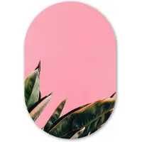 MuchoWow Muurovaal 40x60 cm - Ovale wanddecoratie Planten - Bladeren - Vrouwentong - Roze - Tropisch - Ovalen schilderij - Muurdecoratie woonkamer - Kamer decoratie - Schilderijen - Wandcirkel