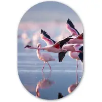 MuchoWow Muurovaal 60x90 cm - Ovale wanddecoratie Flamingo - Vogel - Water - Roze - Ovalen schilderij - Muurdecoratie woonkamer - Kamer decoratie - Schilderijen - Wandcirkel