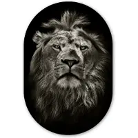 MuchoWow Muurovaal 60x90 cm - Ovale wanddecoratie Leeuw - Dieren - Portret - Wild - Zwart wit - Ovalen schilderij - Muurdecoratie woonkamer - Kamer decoratie - Schilderijen - Wandcirkel