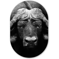 MuchoWow Muurovaal 60x90 cm - Ovale wanddecoratie Dieren - Buffalo - Zwart - Wit - Portret - Ovalen schilderij - Muurdecoratie woonkamer - Kamer decoratie - Schilderijen - Wandcirkel