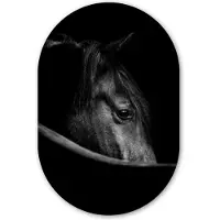 MuchoWow Muurovaal 80x120 cm - Ovale wanddecoratie Paarden - Portret - Zwart - Dieren - Ovalen schilderij - Muurdecoratie woonkamer - Kamer decoratie - Schilderijen - Wandcirkel