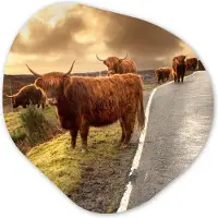 MuchoWow Organische wanddecoratie 40x40 cm - Organisch schilderij Schotse hooglanders - Lucht - Weg - Muurdecoratie woonkamer - Kamer decoratie - Schilderijen - Muurcirkel aesthetic