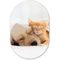 MuchoWow Muurovaal 40x60 cm - Ovale wanddecoratie Dieren - Hond - Kitten - Rood - Ovalen schilderij - Muurdecoratie woonkamer - Kamer decoratie - Schilderijen - Wandcirkel