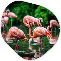 MuchoWow Organische wanddecoratie 40x40 cm - Organisch schilderij Flamingo - Tropisch - Vogel - Water - Roze - Muurdecoratie woonkamer - Kamer decoratie - Schilderijen - Muurcirkel aesthetic