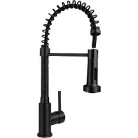 Boss & Wessing Keukenmengkraan bws colorato 49.5 cm flexibele uitloop mat zwart