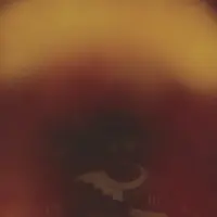 Konkurrent Dustin Wong - Mediation Of Ecstatic Energy (LP | 7"Single) (Limited Edition)