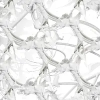 Ginza.se Ziúr - U Feel Anything? (CD)