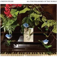 Konkurrent Crayon Fields - All The Pleasures Of The World (LP) (Coloured Vinyl) (Limited Edition)