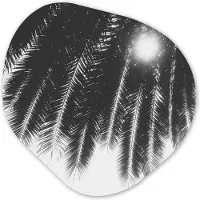 MuchoWow Organische wanddecoratie 60x60 cm - Organisch schilderij Palmbladeren - Tropisch - Zon - Palmboom - Muurdecoratie woonkamer - Kamer decoratie - Schilderijen - Muurcirkel aesthetic