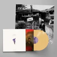 Konkurrent Sharon Van Etten - We've Been Going About This All Wrong (2 LP) (Deluxe Edition)