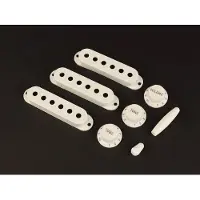 Fender Pure Vintage '60s Stratocaster Accessoirekit - Vintage Wit