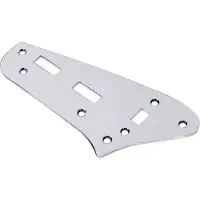 Boston CP-JG2-C Controleplaat met Chromen Afwerking voor Jag-Jmast Model